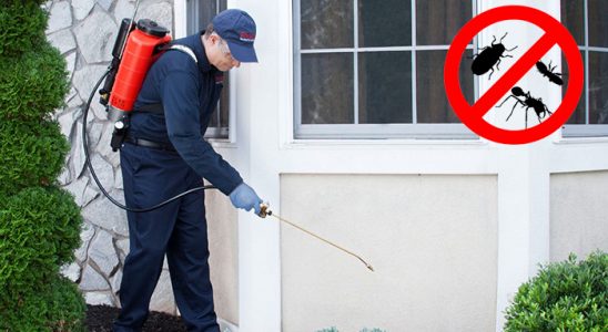 Bayraklı Böcek ve Haşere İlaçlama böcek ilaçlama ve haşere kontrolü — ilaclama-tr.com